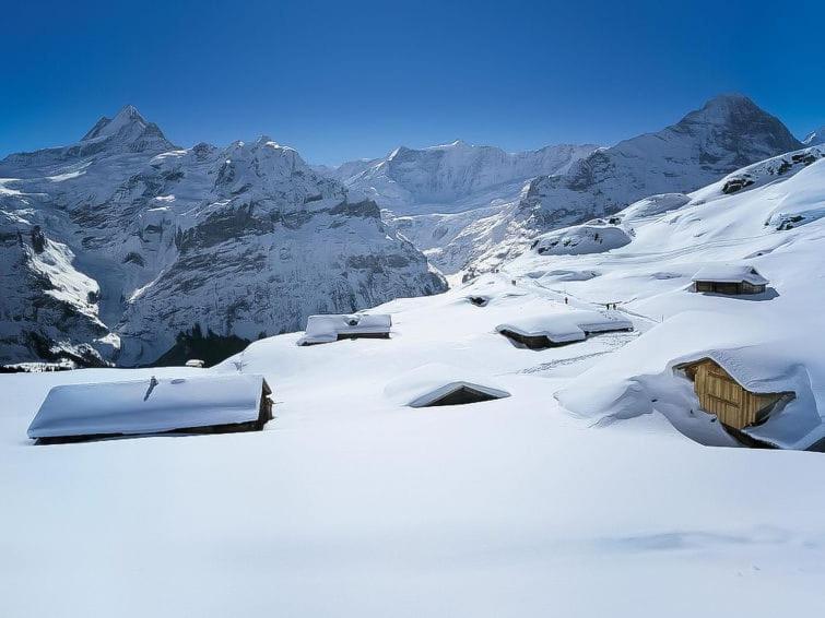 Chalet Aphrodite West Apartment Grindelwald Exterior foto